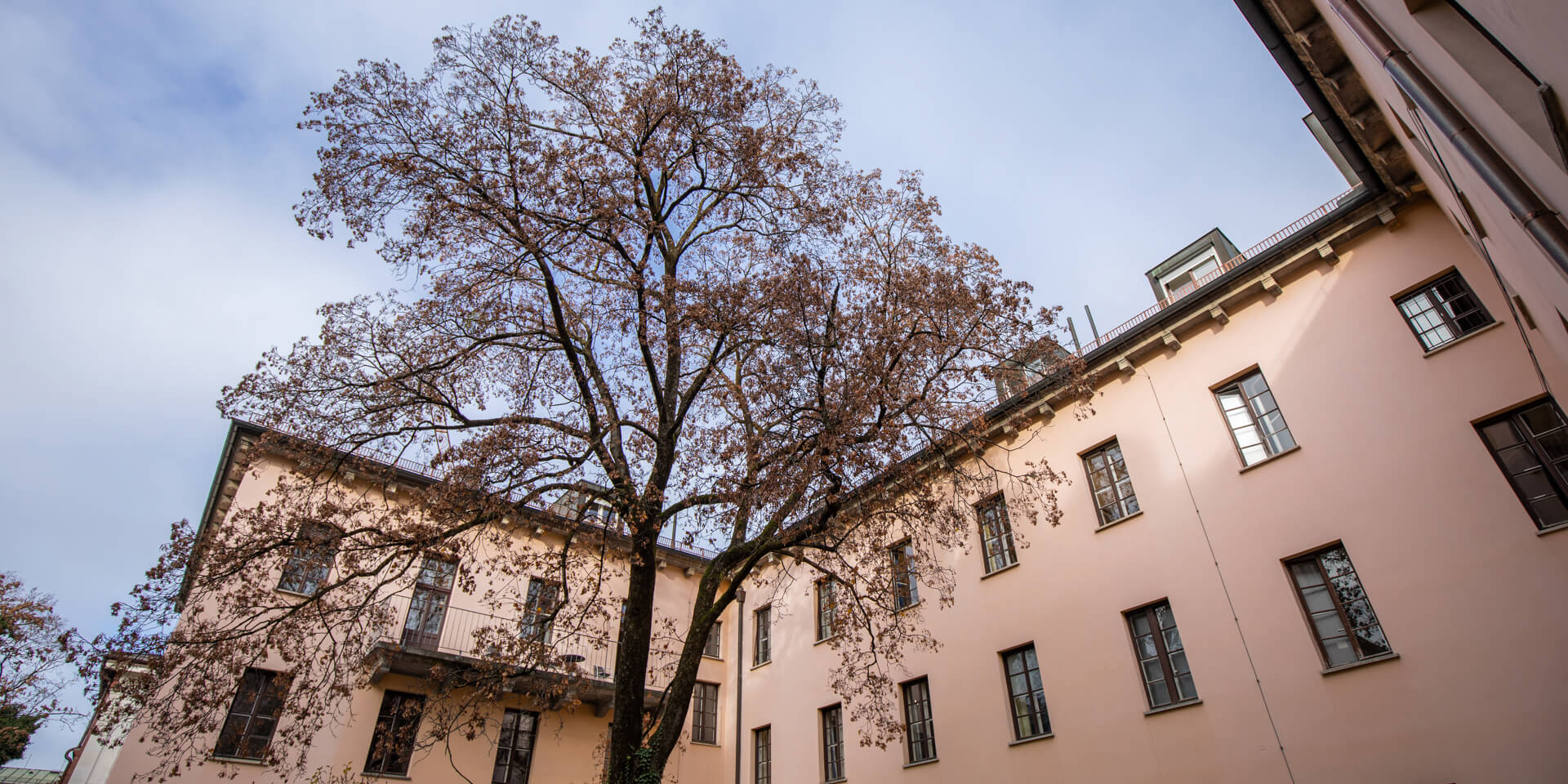 Arbeit%20in%20Fachaussch%C3%BCssen%20und%20Arbeitskreisen