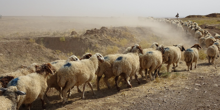 Bildrechte: Michael Martin %C3%9Cberleben%20oder%20fliehen%3F