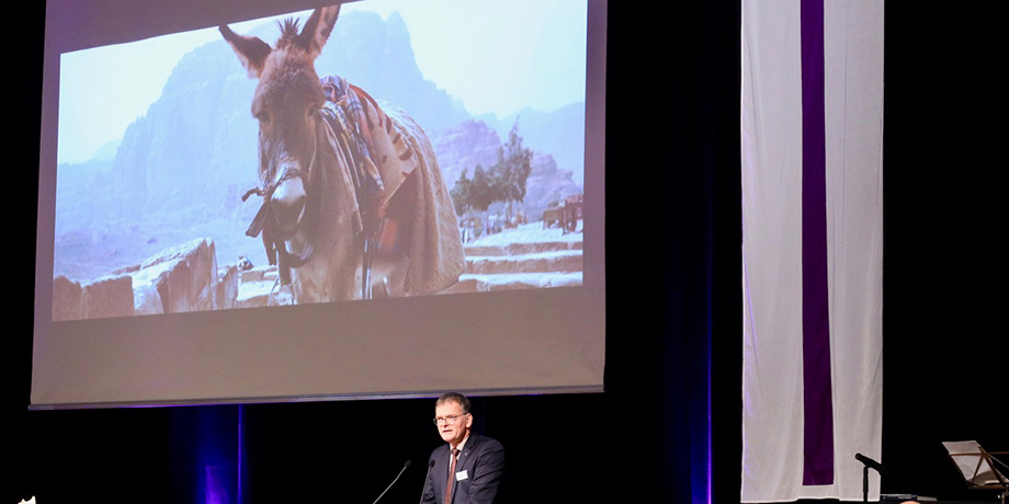 Der%20K%C3%B6nig%20kommt%20auf%20einem%20Esel