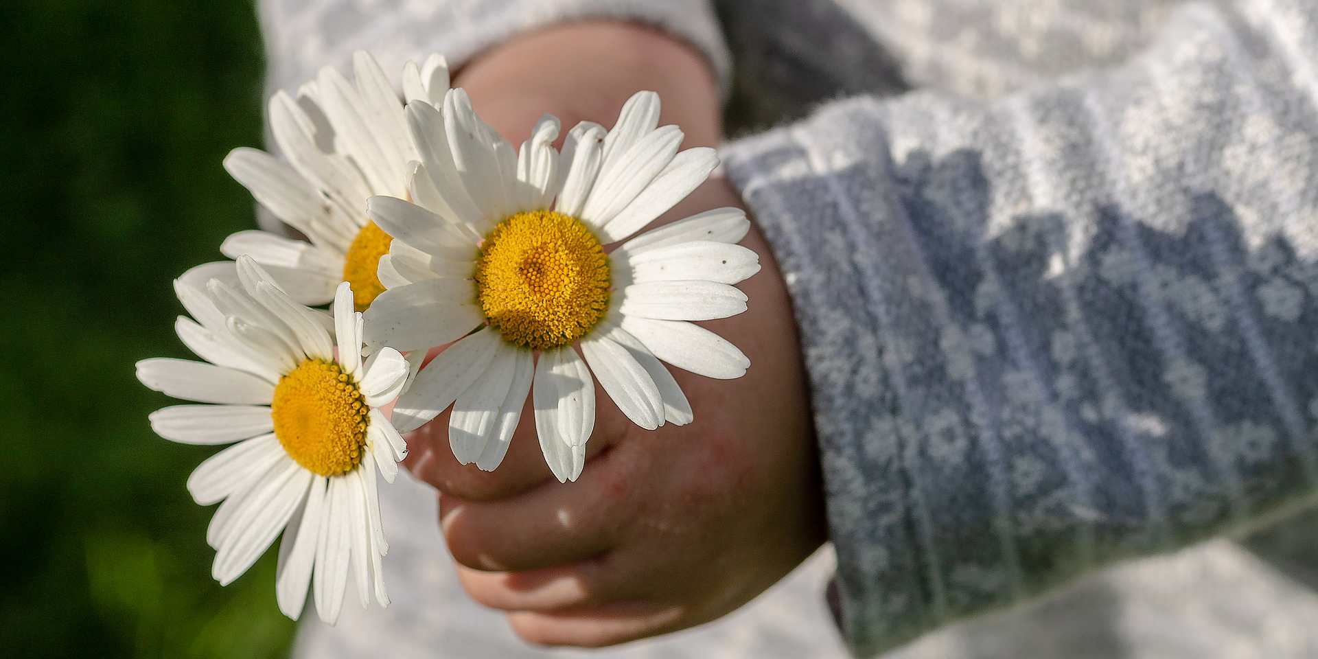 Von%20Gott%20kommt%20diese%20Kunde