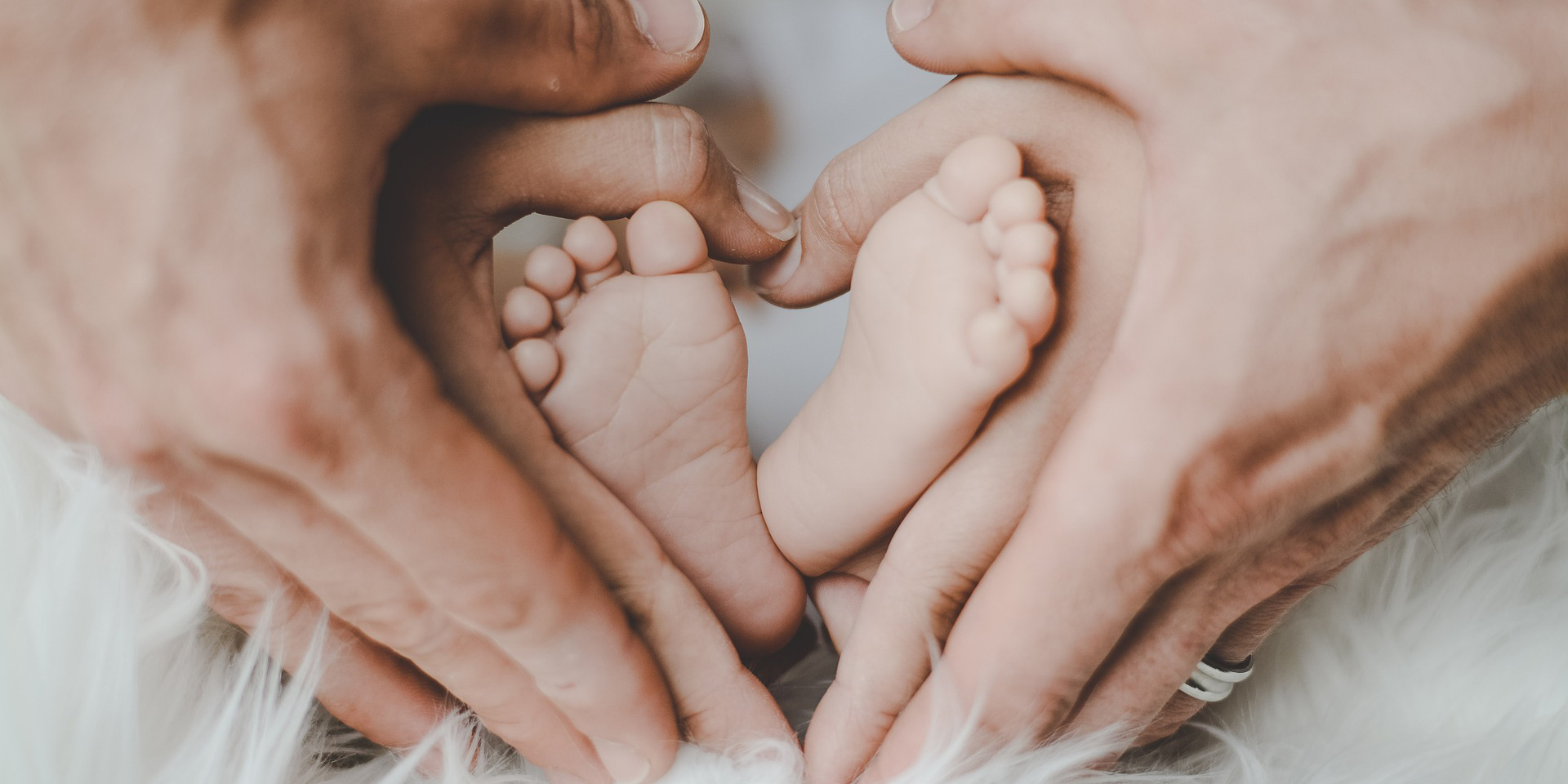 Gott%2C%20der%20Du%20alles%20Leben%20schufst