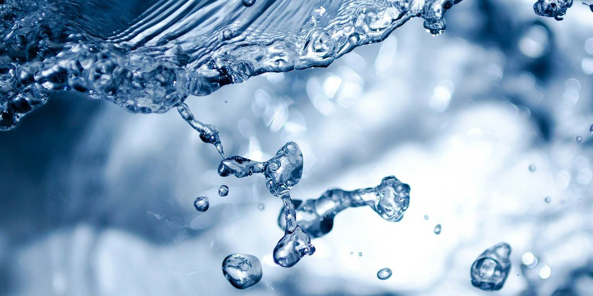 Lobe%20den%20Herrn%2C%20meine%20Seele